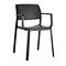 colored pp chair